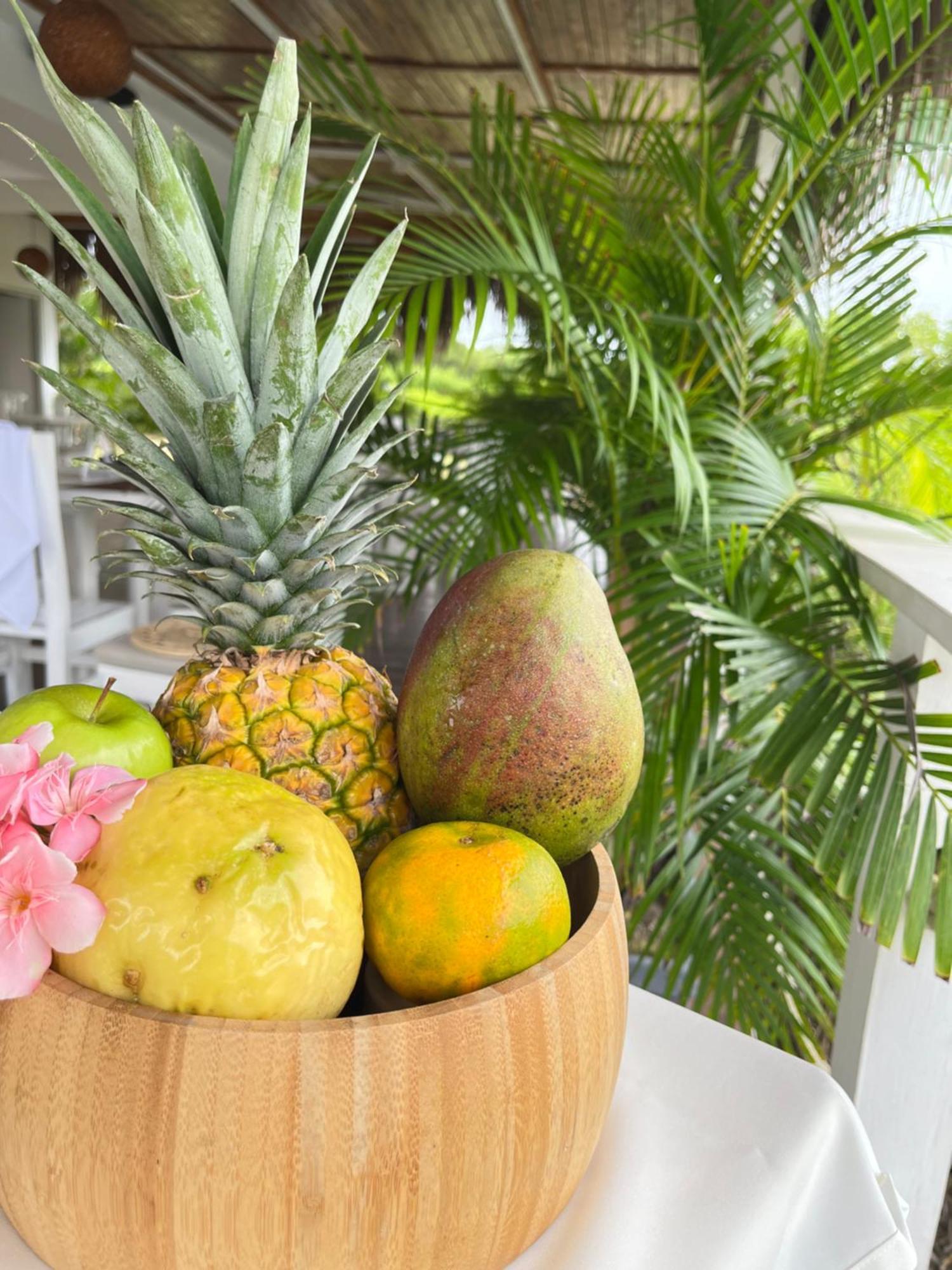 Santo Manglar Cartagena Life Wellness Spa Hotel מראה חיצוני תמונה